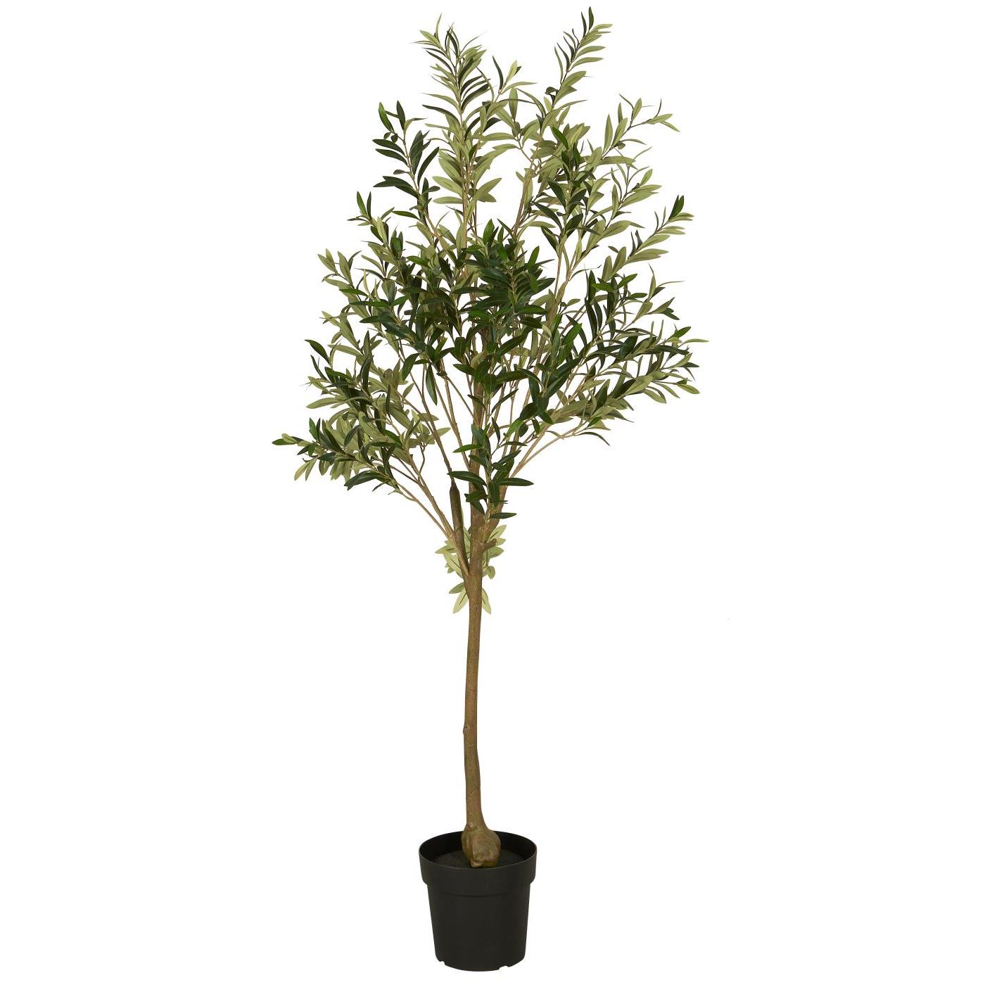 https://content.storeinfo.nl/applicatie/img/983/20250530170019_1204533_989700W1400.jpg