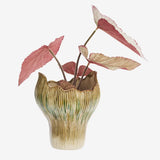 https://content.storeinfo.nl/applicatie/img/983/20250926175155_512467_v33618405321.webp