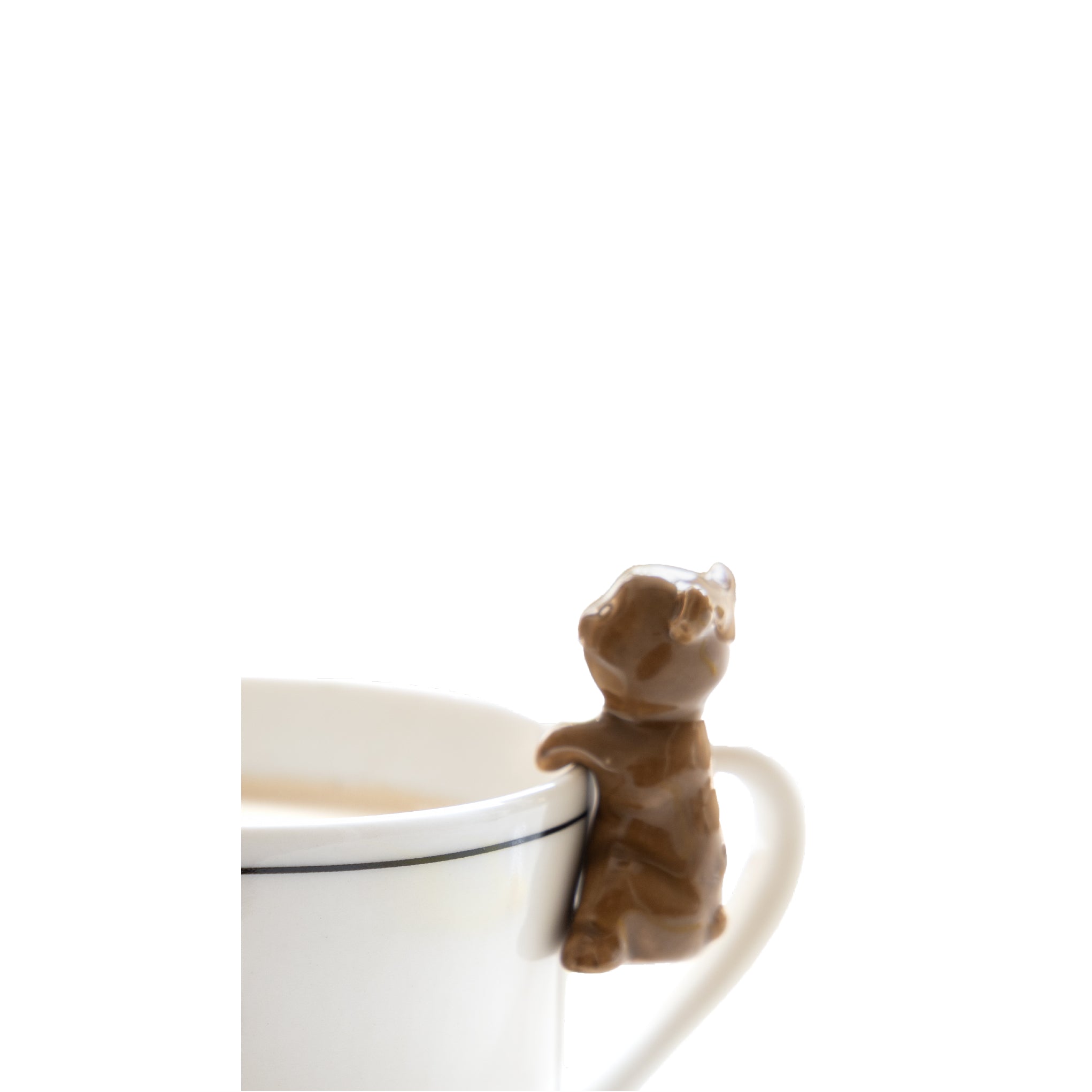 https://content.storeinfo.nl/applicatie/img/983/20250930185310_3456133_LIBEAR001BLCUP.jpg