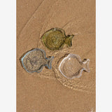 https://content.storeinfo.nl/applicatie/img/983/20260327171330_1532537_24061338.webp