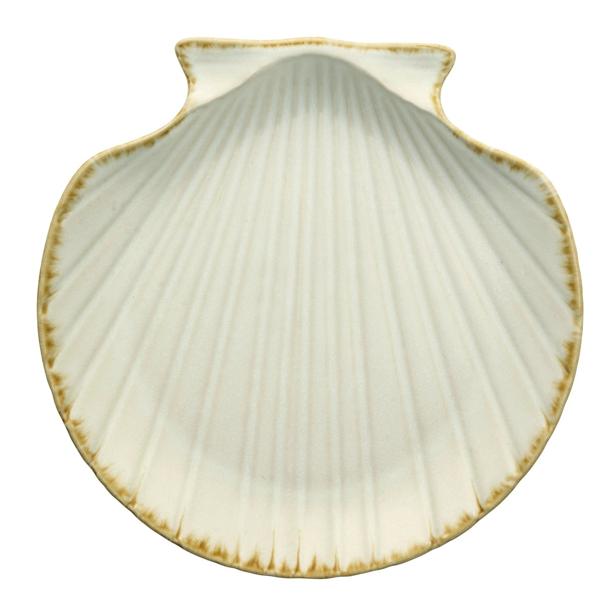 Stoneware sea shell tray – Cocoon Lifestyle